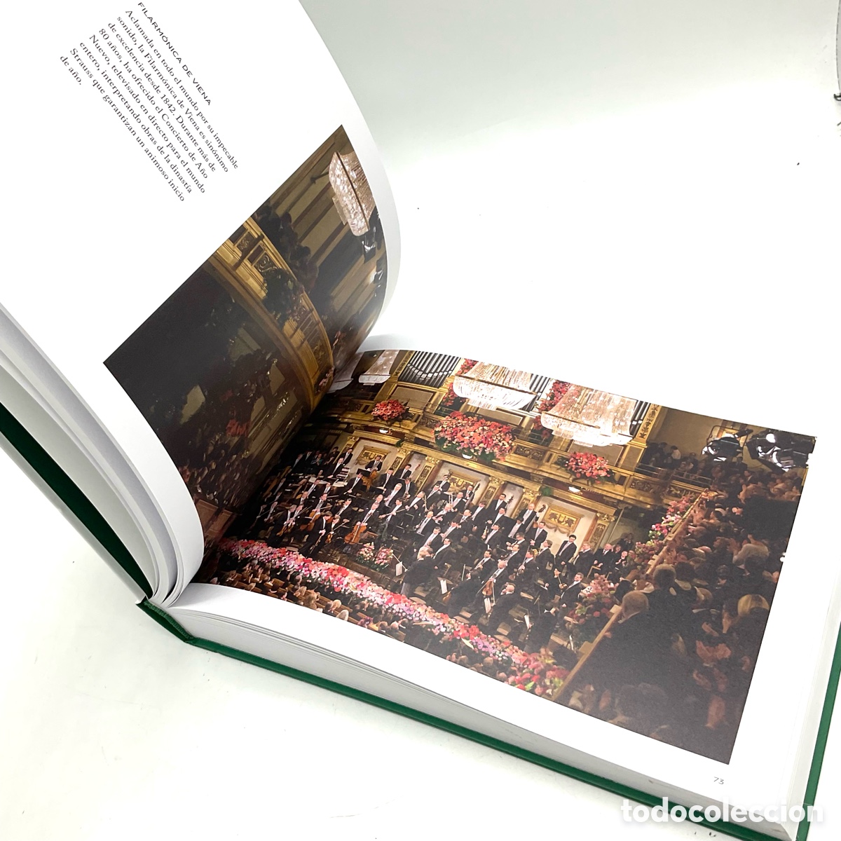 Relojes - Rolex: ROLEX - cat&aacute;logo libro 2023 2024 - documento de reloj &ldquo;&rdquo; - Foto 9