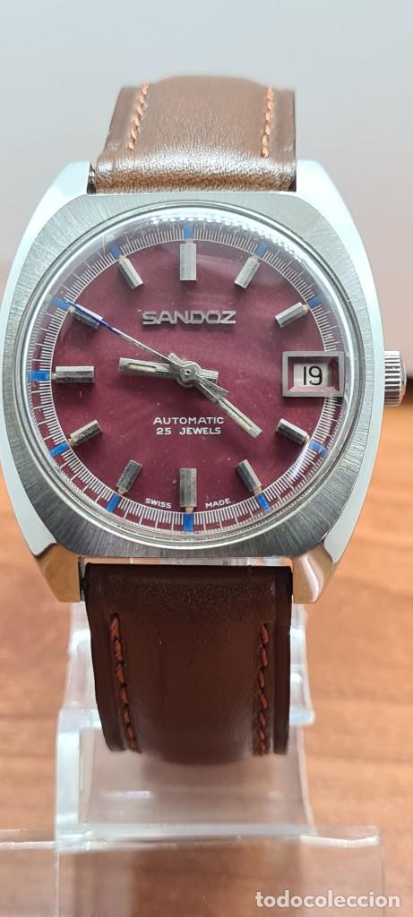 Relojes - Sandox: Reloj (Vintage) SANDOZ automático acero esfera color vino calendario a las tres, correa cuero marrón - Foto 1 - 291243583