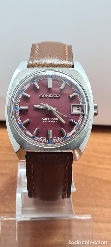 Relojes - Sandox: Reloj (Vintage) SANDOZ automático acero esfera color vino calendario a las tres, correa cuero marrón - Foto 13 - 291243583