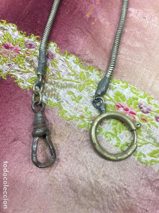 Relojes: Leontina, cadena de reloj - Foto 2