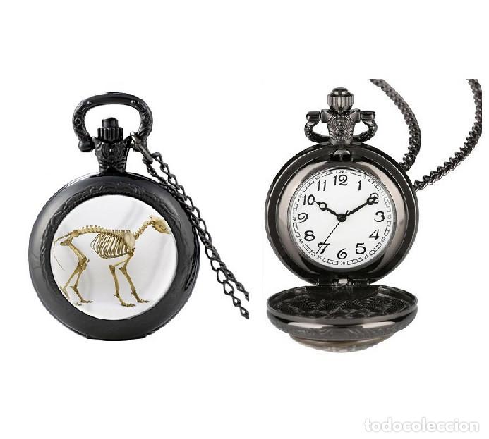 Relojes: Reloj de Bolsillo Esqueleto de Dinosaurio - Foto 1