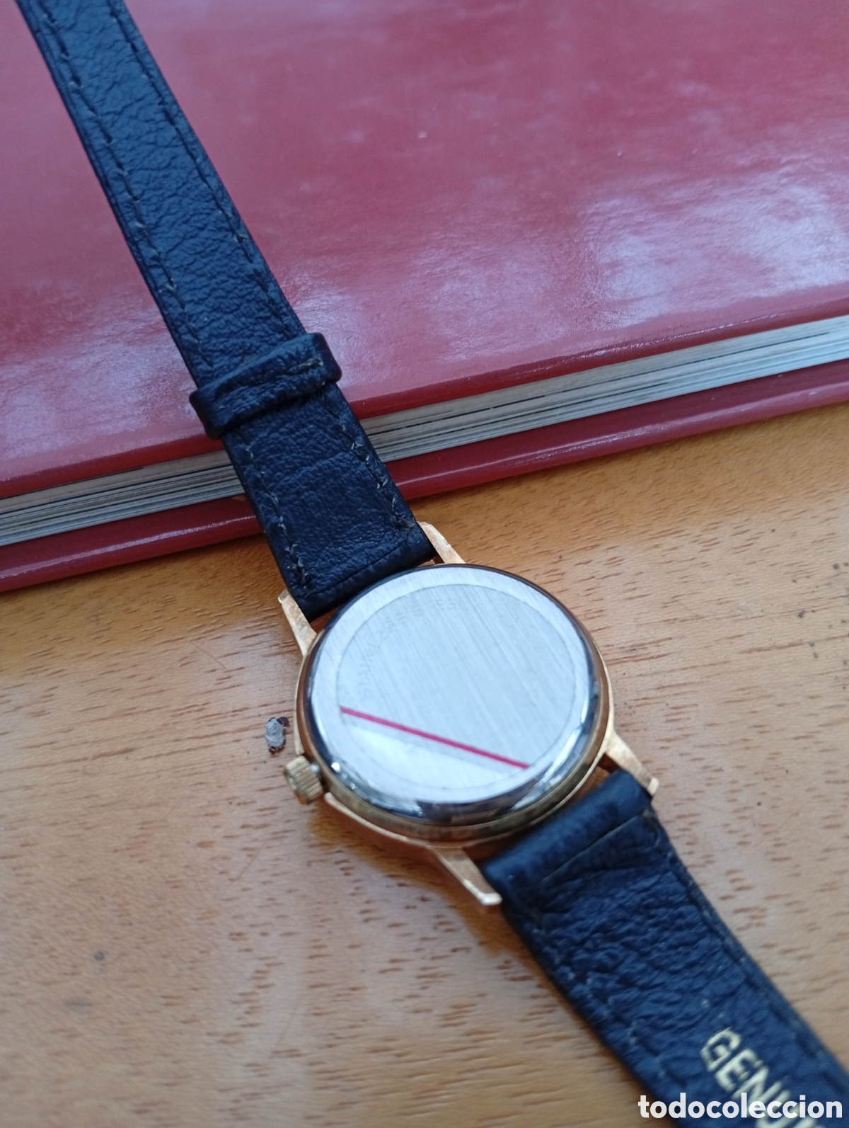 Relojes: Reloj se&ntilde;ora Mercury Watch - Foto 2
