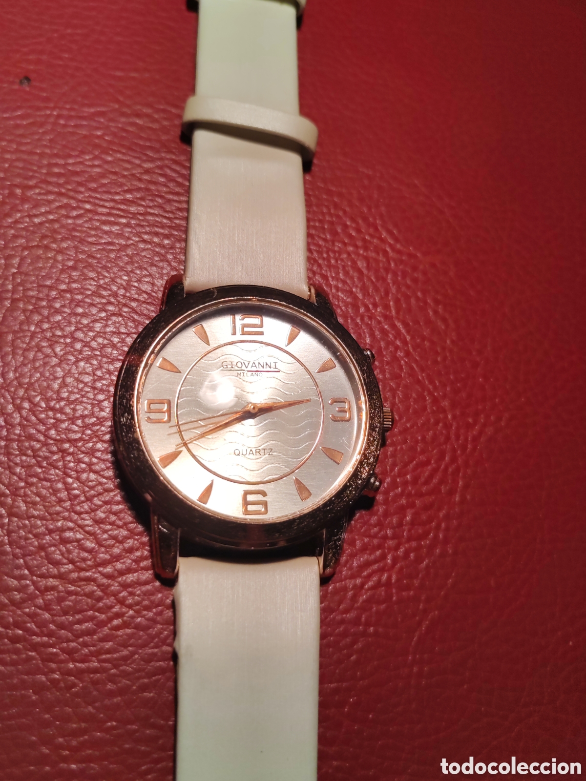 Relojes: Reloj pulsera mujer marca Giovany