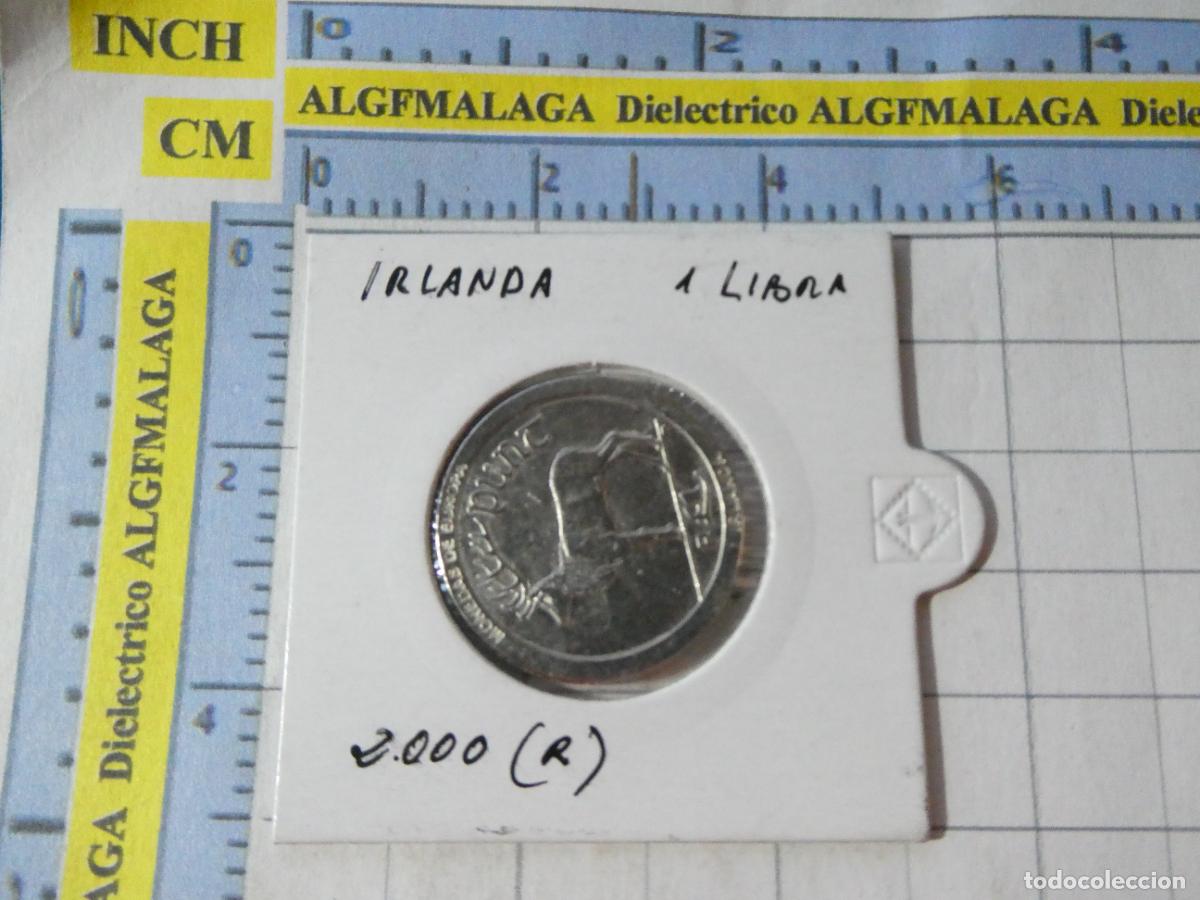 Reproducciones billetes y monedas: MONEDA FACS&Iacute;MIL REPRODUCCI&Oacute;N. IRLANDA 1 LIBRA 2000. EN BLISTER
