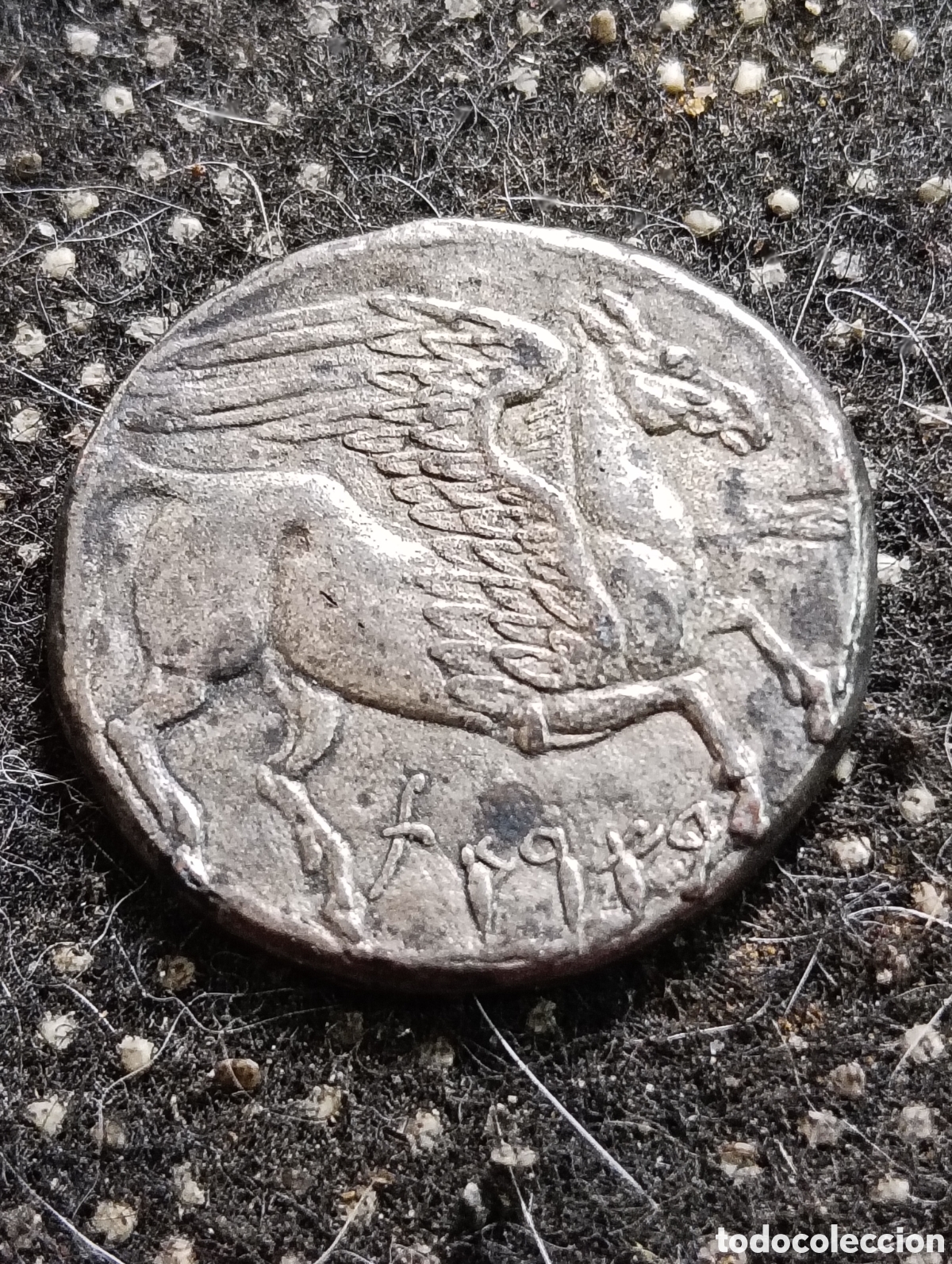 Reproducciones billetes y monedas: R&eacute;plica de un Decadracma de una moneda antigua de Cartago que muestra a Pegaso en el reverso.