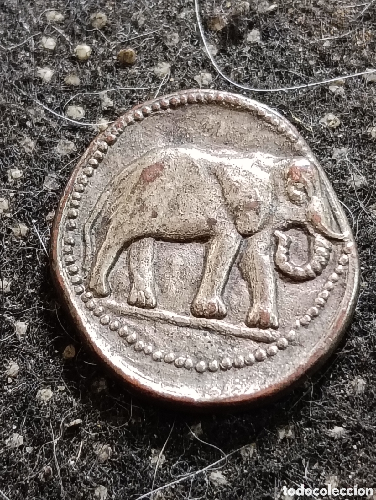 Reproducciones billetes y monedas: R&eacute;plica de un tetradracma cartagin&eacute;s de la familia Barca que presenta un elefante en el anverso