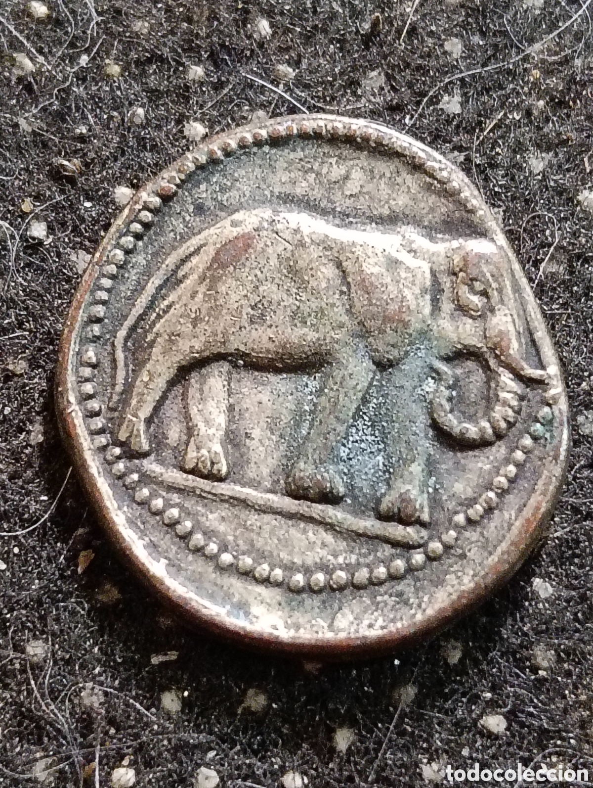 Reproducciones billetes y monedas: R&eacute;plica de un tetradracma cartagin&eacute;s de la familia Barca que presenta un elefante en el anverso