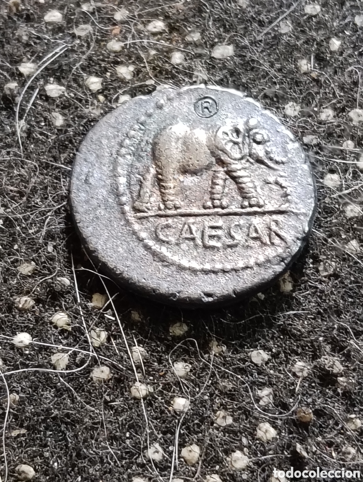 Reproducciones billetes y monedas: Excelente R&eacute;plica de un Denario de Julio Cesar 49 a C. Elefante con atributos ceremoniales