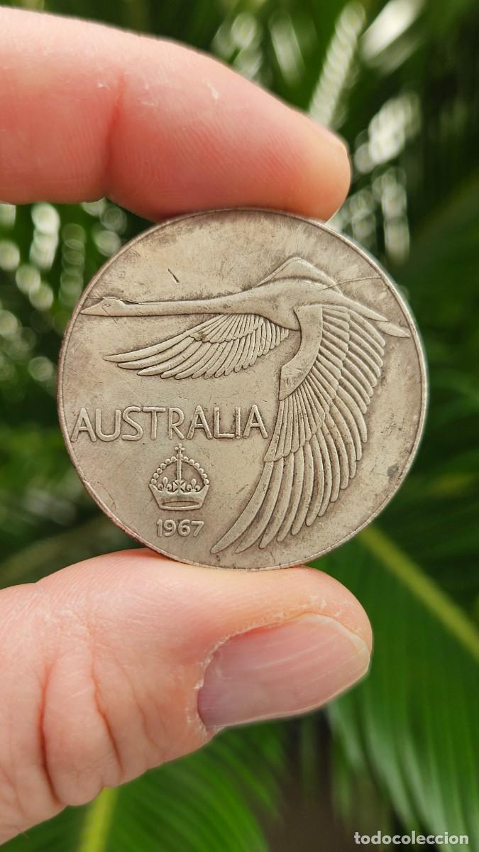 Riproduzioni banconote e monete: Australia 100 Cents 1967 Ganso