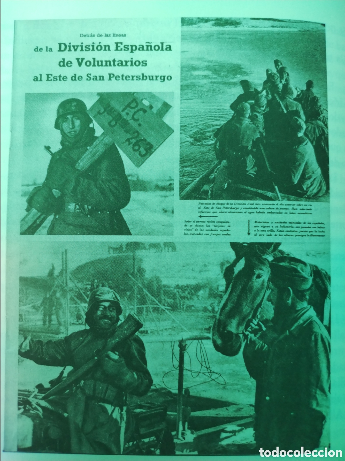 Sammeln von Plakaten	: DIVISION AZUL