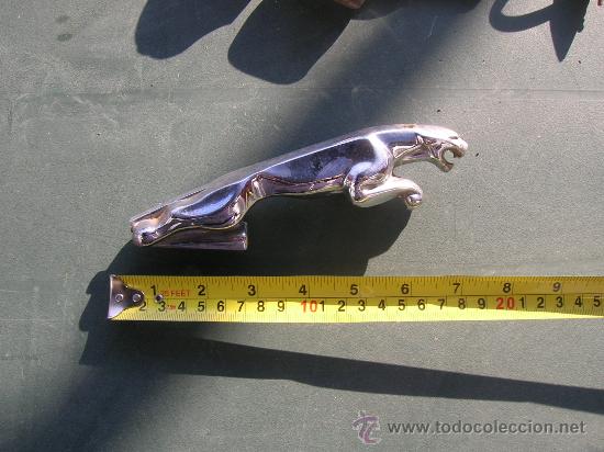 Coches y Motocicletas: ANTIGUA MASCOTA COCHE JAGUAR VER FOTOS