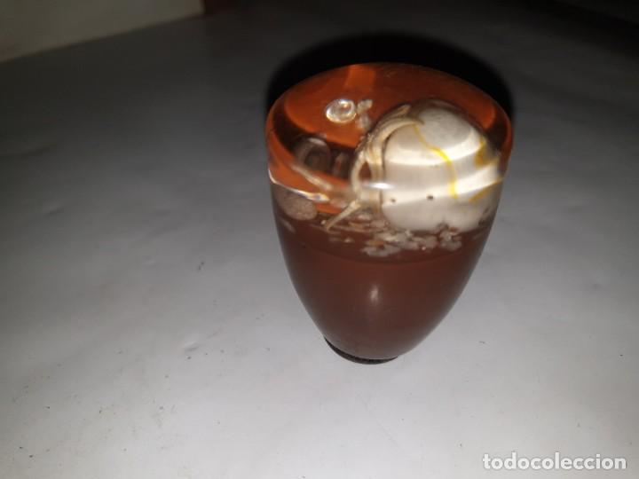 Coches y motocicletas: POMO CAMBIO - Foto 2
