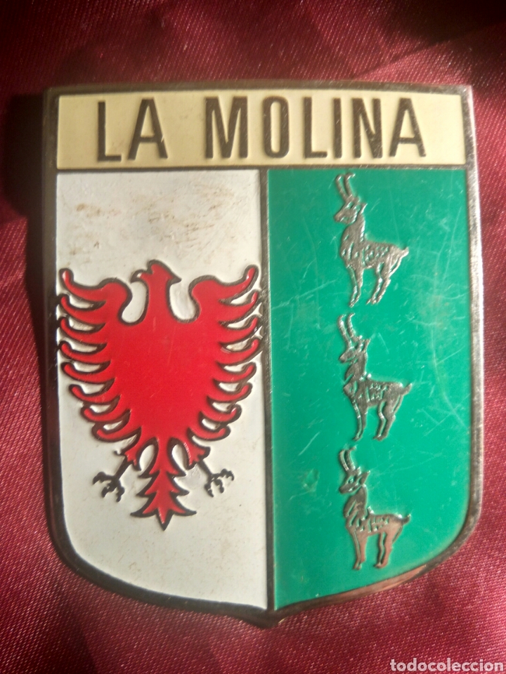 Coches y motocicletas: PLACA COCHE LA MOLINA - Foto 1
