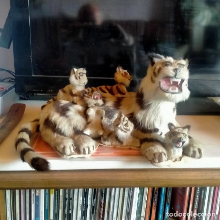 Autos und Motorr&auml;der: GATO TIGRE LINCE BALANC&Iacute;N PARA COCHE CL&Aacute;SICO MUY RARO