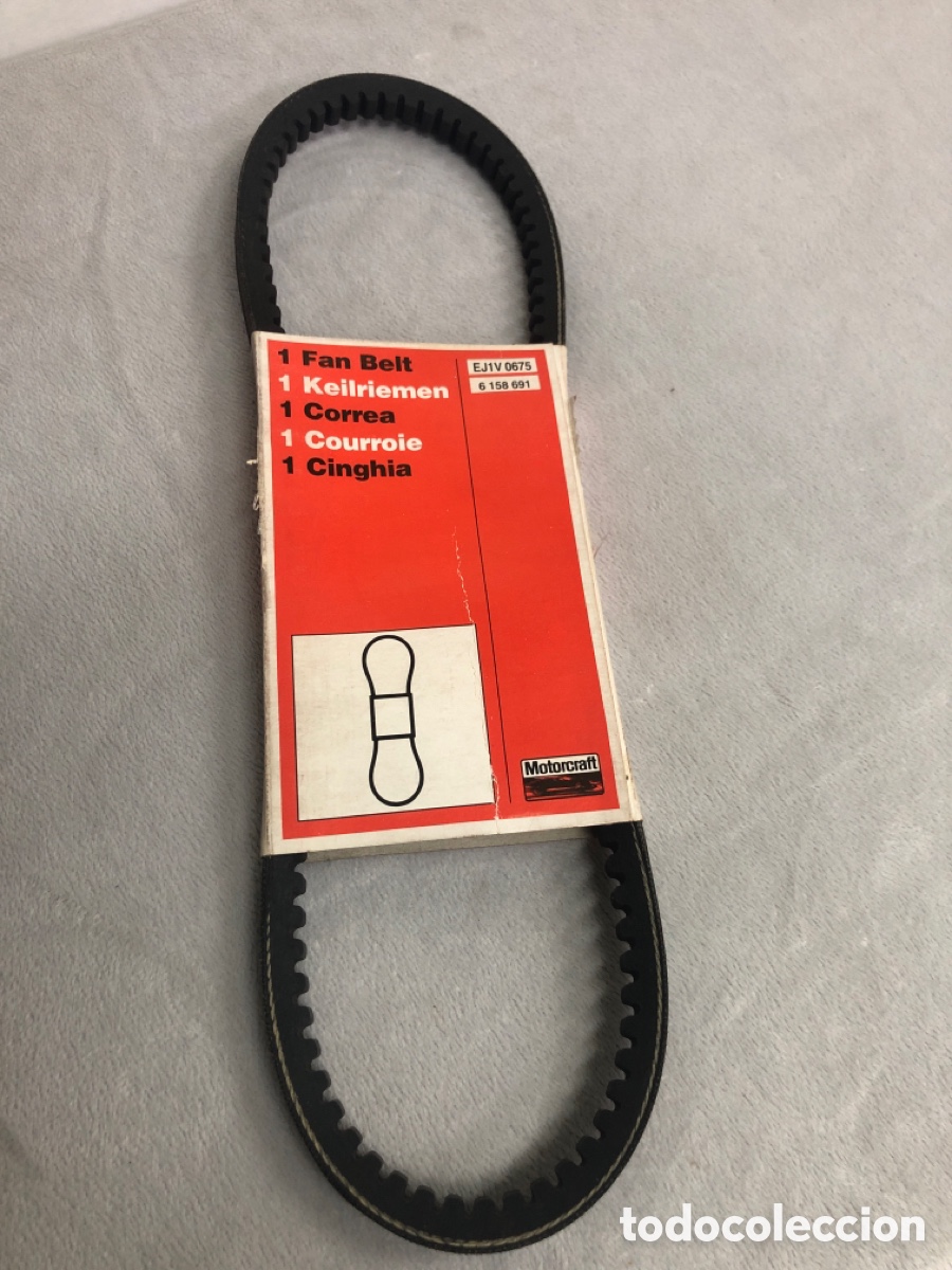 Automobili e Motociclette: CORREA VENTILADOR -MOTORCRAFT 6158691-EJ1V 0675 ( FORD FIESTA 1,3 CVH del 83 al 86 )