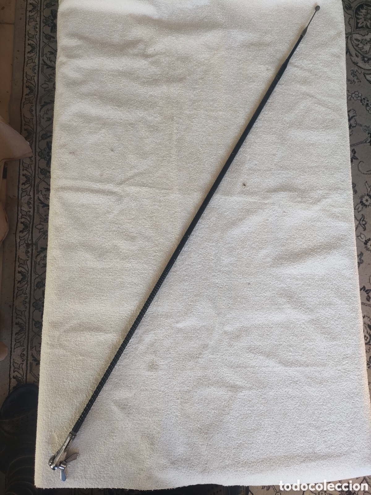 Automobili e Motociclette: Antena de coche