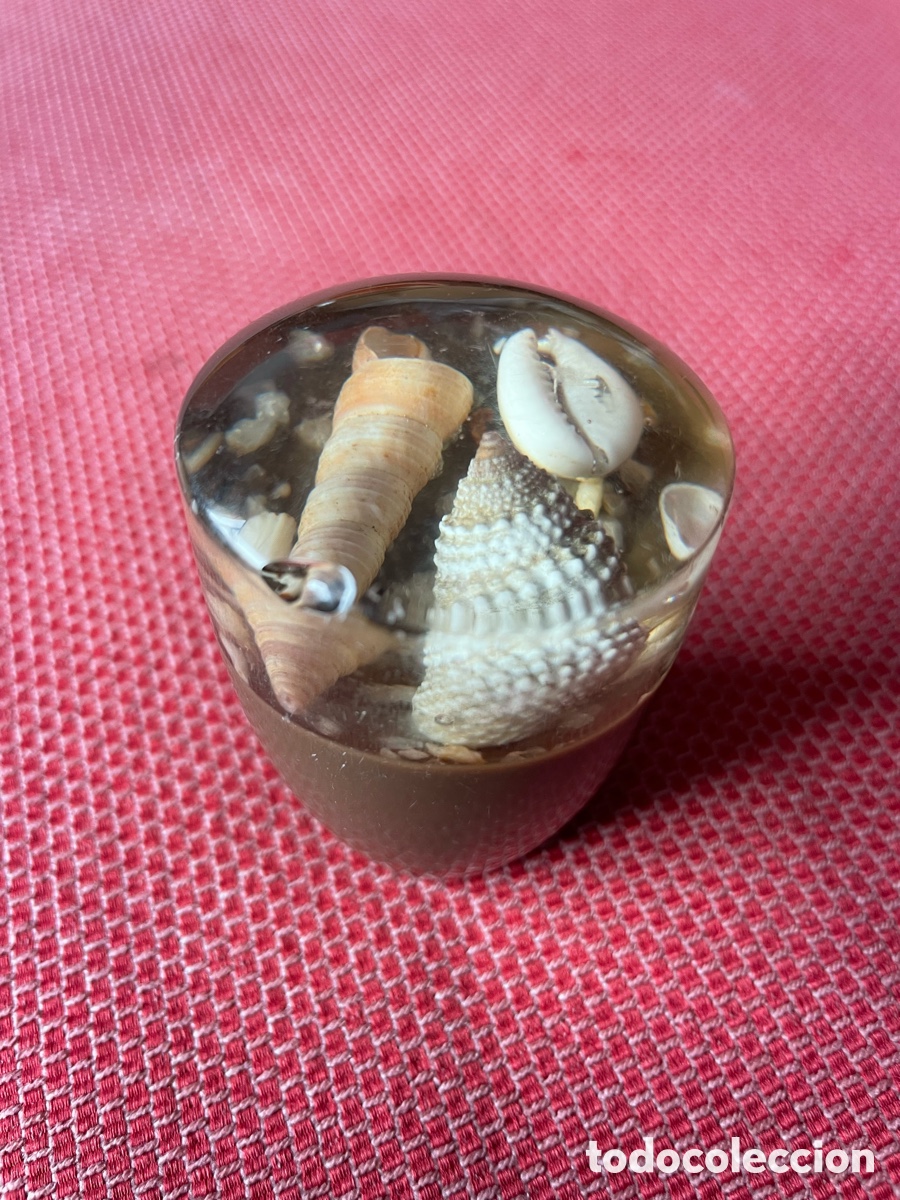 Autos und Motorr&auml;der: Bonito pomo resina palanca cambio