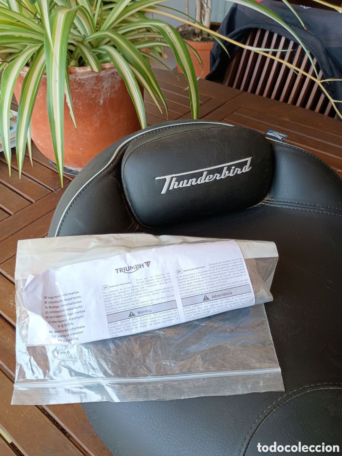 Coches y motocicletas: Triumph Thunderbird 1700 Commando - Foto 4