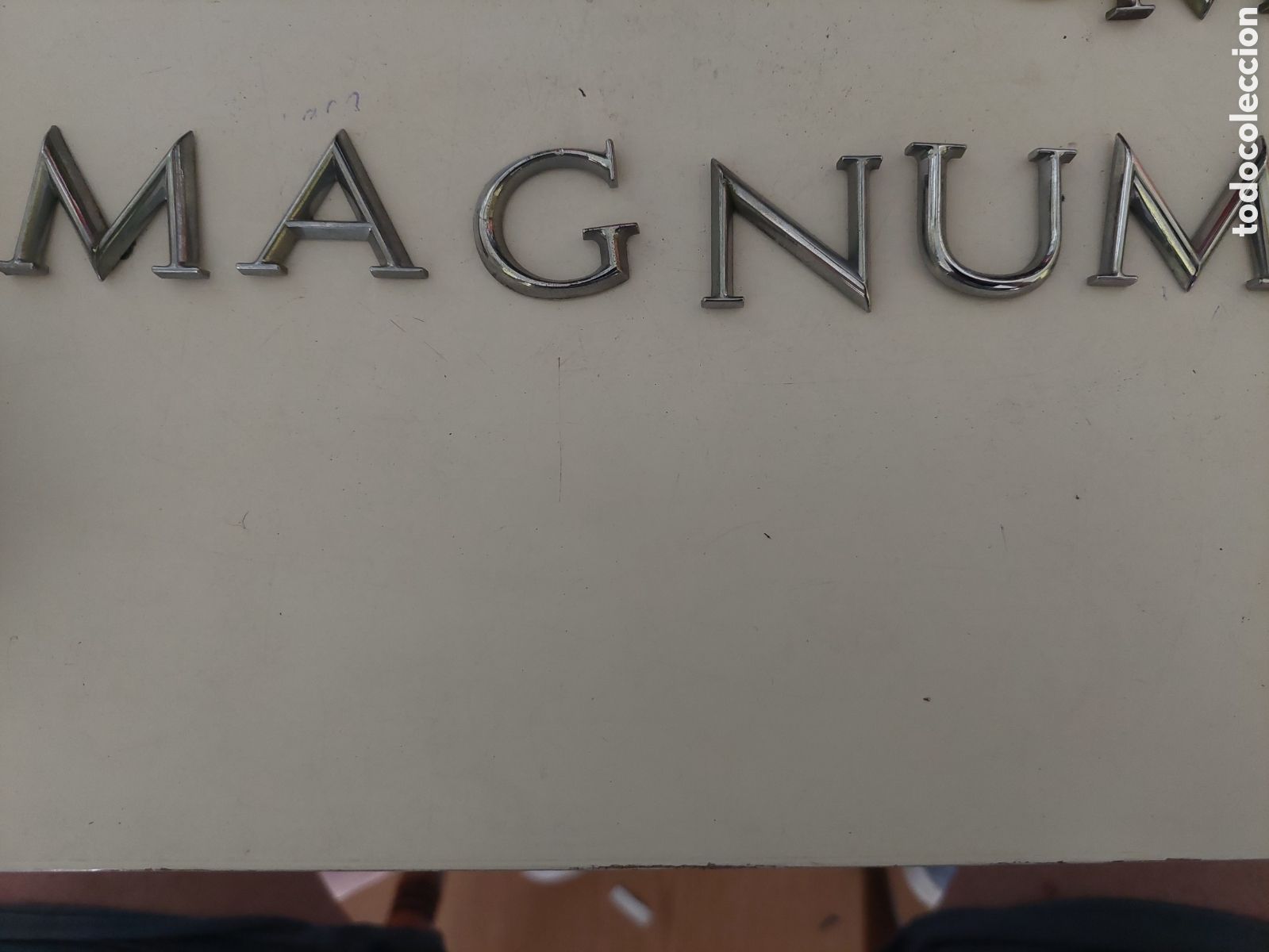 Coches y motocicletas: ANAGRAMA MAGNUM CAMION