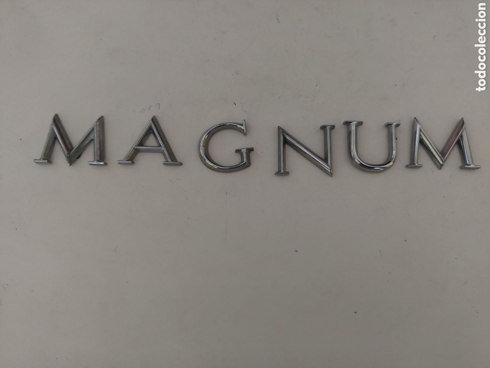 Coches y motocicletas: ANAGRAMA CAMIONES MAGNUM