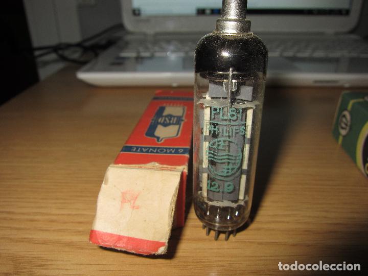 Radios antiguas: V&aacute;lvula PL81 - Foto 1