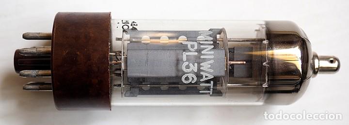 Radios antiguas: V&aacute;lvula Miniwatt PL36 - Foto 1