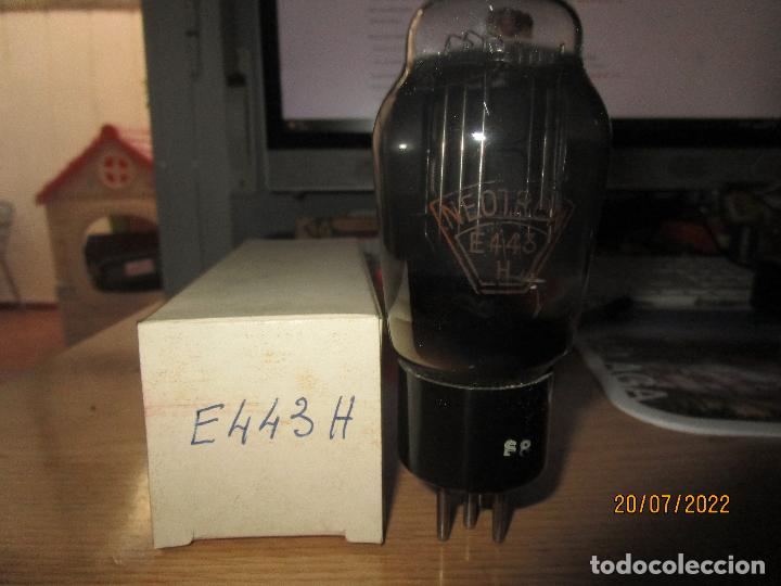 Radios antiguas: VALVULA E443H NUEVA - Foto 1