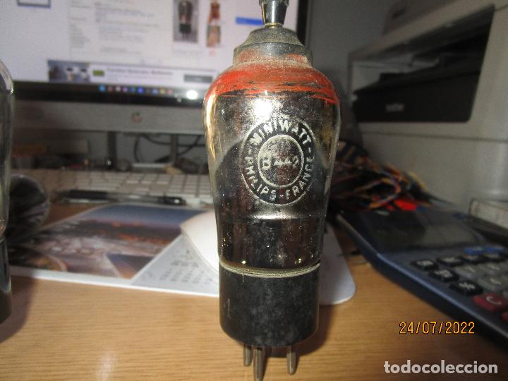 Radios antiguas: VALVULA B442 B442 PHILIPS - Foto 1