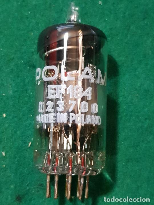 Radios antiguas: EF184 POLAM NO TESTADA - Foto 1
