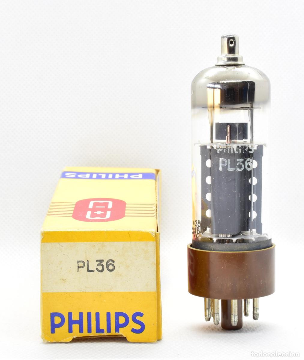 Radios antiguas: V&aacute;lvula nueva PL36 de marca Philips - Foto 2