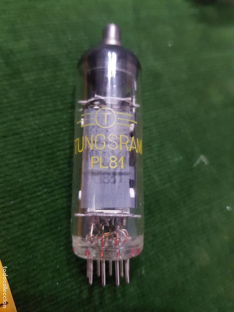 Old radios: VALVULA PL 81- SIN CAJA