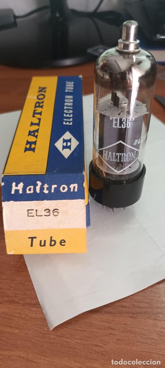 Alte Radios: VALVULA EL36 - MARCA HALTRON - NUEVA EN SU CAJA