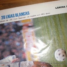 Coleccionismo deportivo: LIGAS BLANCAS,AUTOADHESIVAS,REAL MADRID. Lote 28942284