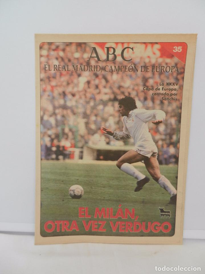 Coleccionismo deportivo: REVISTA ABC EL REAL MADRID, CAMPE&Oacute;N DE EUROPA N&ordm; 35. LEY DEL M&Iacute;NIMO ESFUERZO ANTE EL SPORA.