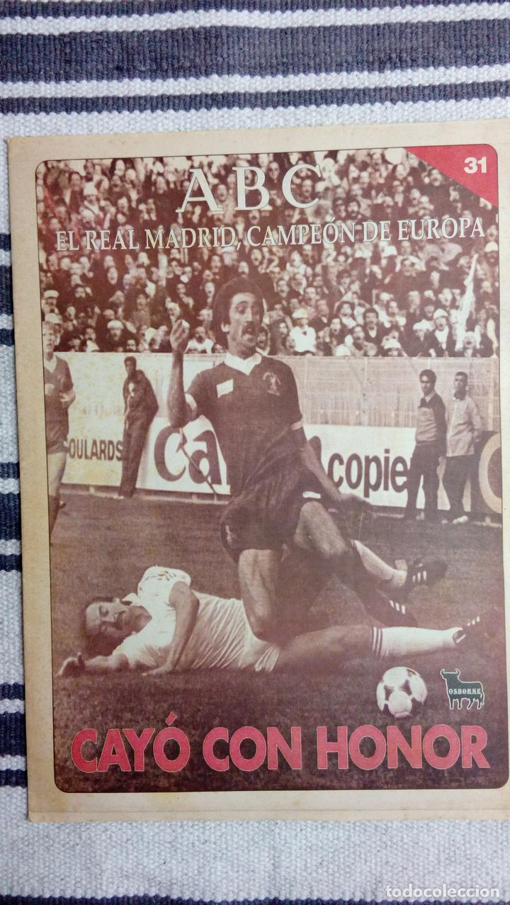 Coleccionismo deportivo: COLECCION ABC: EL REAL MADRID, CAMPEON DE EUROPA N&ordm; 31: CAYO CON HONOR
