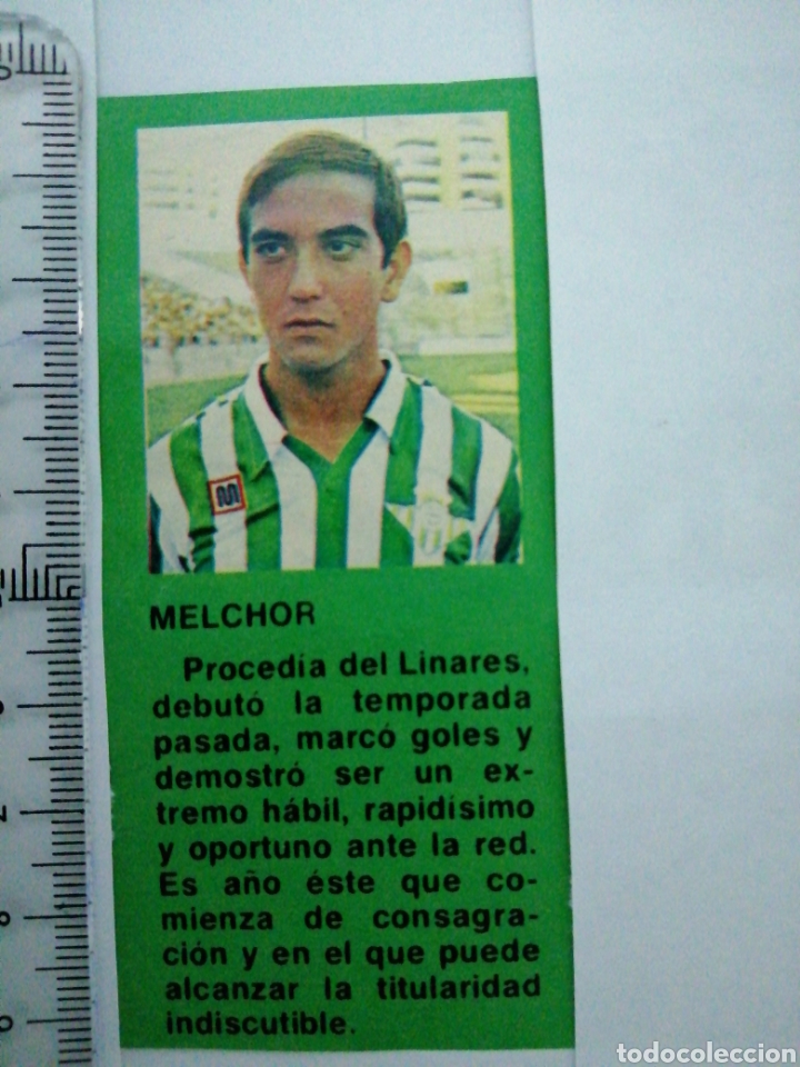 Coleccionismo deportivo: (RECORTE PRENSA ANTIGUO)JUGADOR DEL REAL BETIS MELCHOR PROCEDENTE DE LINARES