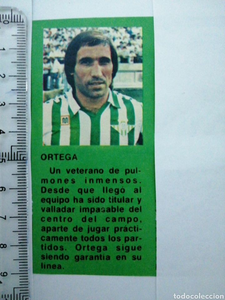 Coleccionismo deportivo: (RECORTE PRENSA ANTIGUO)JUGADOR DEL REAL BETIS VETERANO ORTEGA