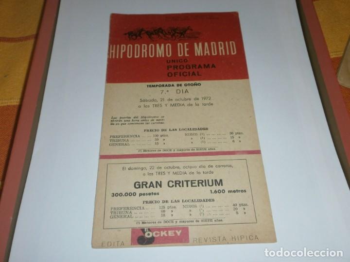 Collezionismo sportivo: Hip&oacute;dromo de Madrid programa oficial 21 oct 1972 gran criterium 23,5 X 13,5 cm. 10 pg.