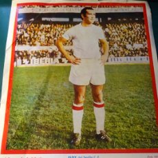 Coleccionismo deportivo: POSTER CARTEL LÁMINA JUGADOR SEVILLA FÚTBOL CLUB 1969 - 1972. JUGADOR ELOY. 32X23CM. Lote 363311225