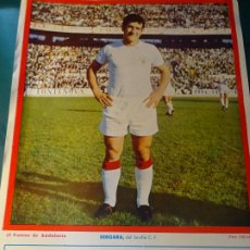Coleccionismo deportivo: POSTER CARTEL LÁMINA JUGADOR SEVILLA FÚTBOL CLUB 1969 - 1972. JUGADOR BERGARA. 32X23CM. Lote 363311255