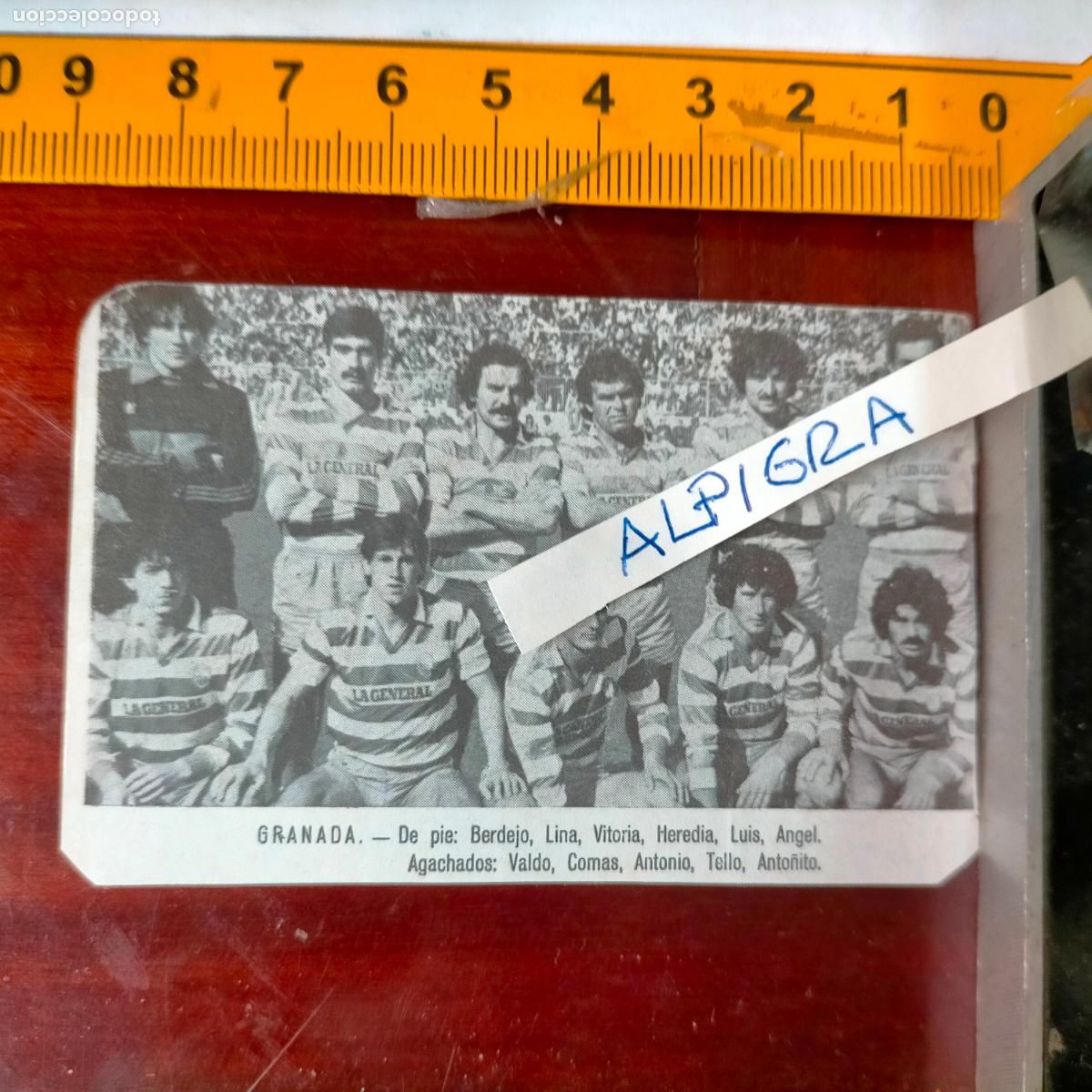 Sammelleidenschaft Sport: CLIPPING ANTIGUO RECORTE DE FUTBOL EQUIPO ALINEACION LIGA PLANTILLA - GRANADA