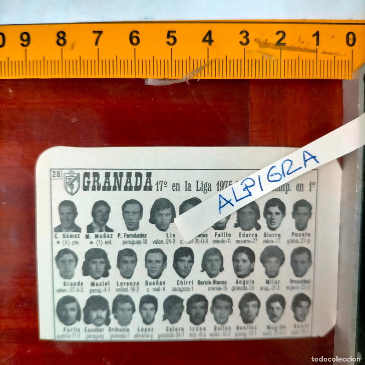 Sammelleidenschaft Sport: CLIPPING ANTIGUO RECORTE DE FUTBOL EQUIPO ALINEACION LIGA PLANTILLA - GRANADA