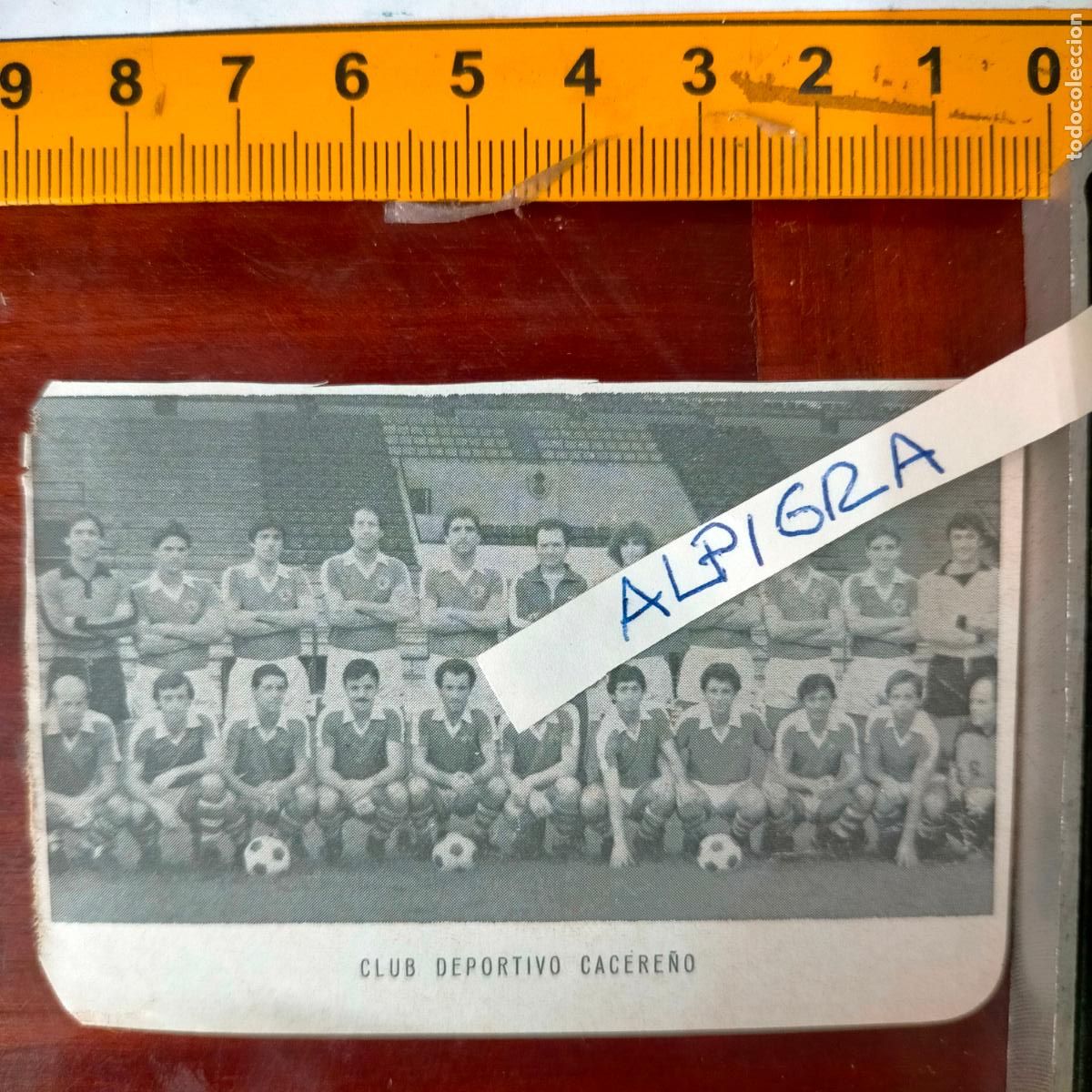 Sammelleidenschaft Sport: CLIPPING ANTIGUO RECORTE DE FUTBOL EQUIPO ALINEACION LIGA PLANTILLA - CLUB DEPORTIVO CACERE&Ntilde;O