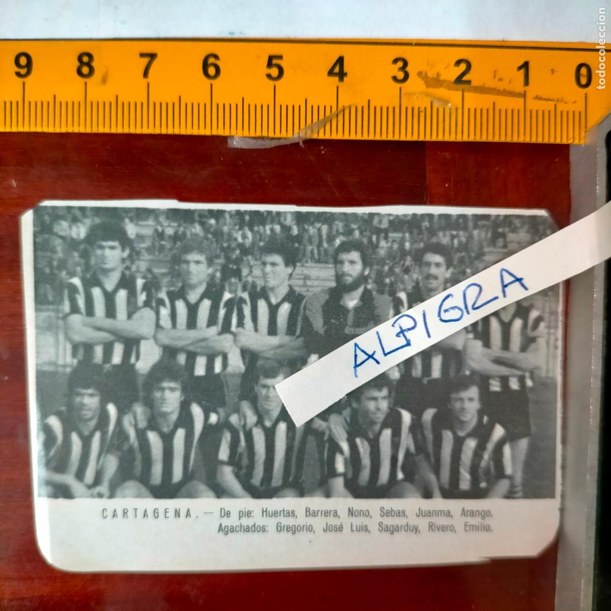 Sammelleidenschaft Sport: CLIPPING ANTIGUO RECORTE DE FUTBOL EQUIPO ALINEACION LIGA PLANTILLA - CARTAGENA