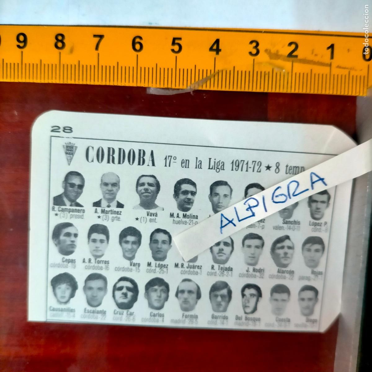Sammelleidenschaft Sport: CLIPPING ANTIGUO RECORTE DE FUTBOL EQUIPO ALINEACION LIGA PLANTILLA - CORDOBA