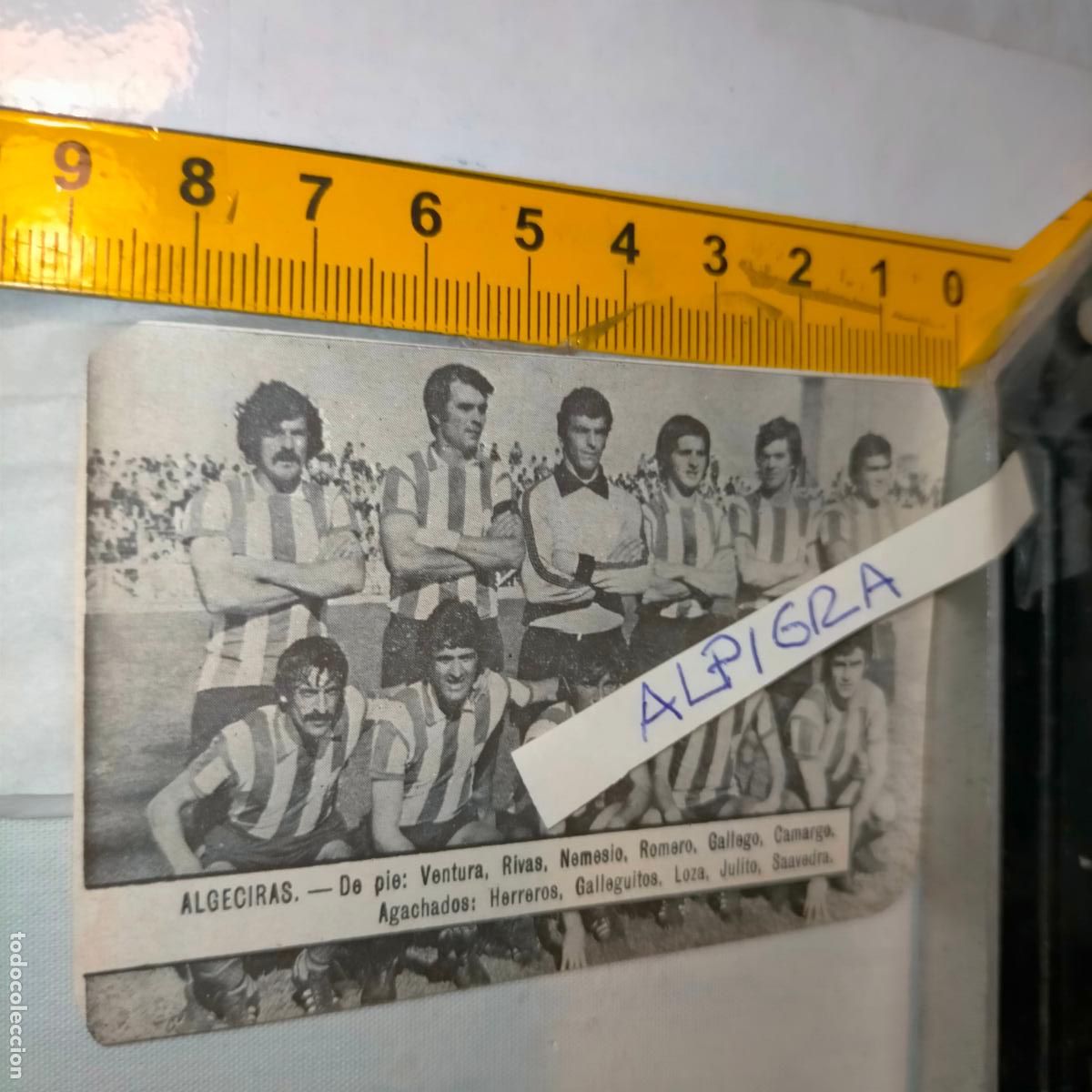 Sammelleidenschaft Sport: CLIPPING ANTIGUO RECORTE DE FUTBOL EQUIPO ALINEACION LIGA PLANTILLA JUGADORES - ALGECIRAS
