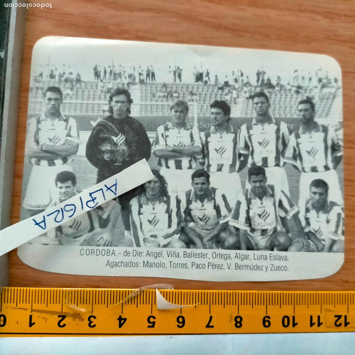 Sammelleidenschaft Sport: CLIPPING ANTIGUO RECORTE DE FUTBOL - ALINEACION EQUIPO CORDOBA