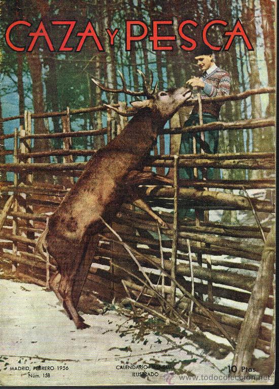 Coleccionismo deportivo: Revista Caza y Pesca N&ordm; 158 - Madrid. Febrero 1956