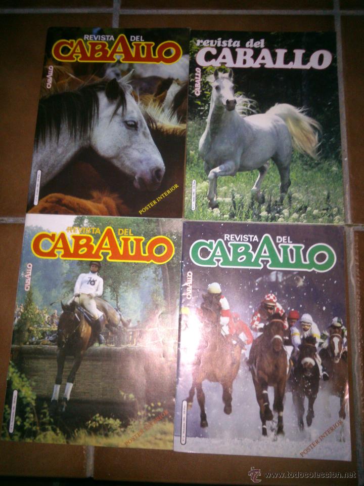 Coleccionismo deportivo: REVISTA DEL CABALLO.A&Ntilde;O 1982