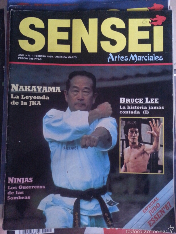 Bruce sales lee sensei